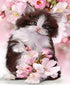 Cute Cat & Lovely Flowers